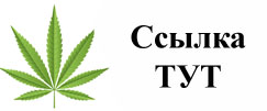 Купить наркотики в Николаевске